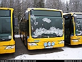 Dacke_Buss_EEG926_Langasjo_081227